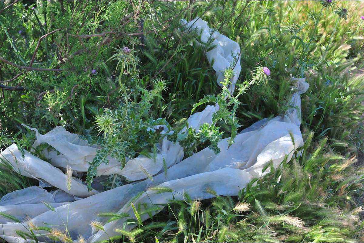 Plásticos recogidos para reciclaje en Almería