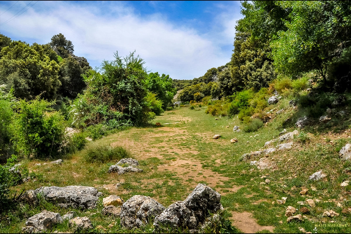 pradonegro-cascadas-02