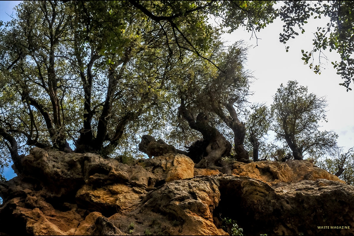 pradonegro-cascadas-06