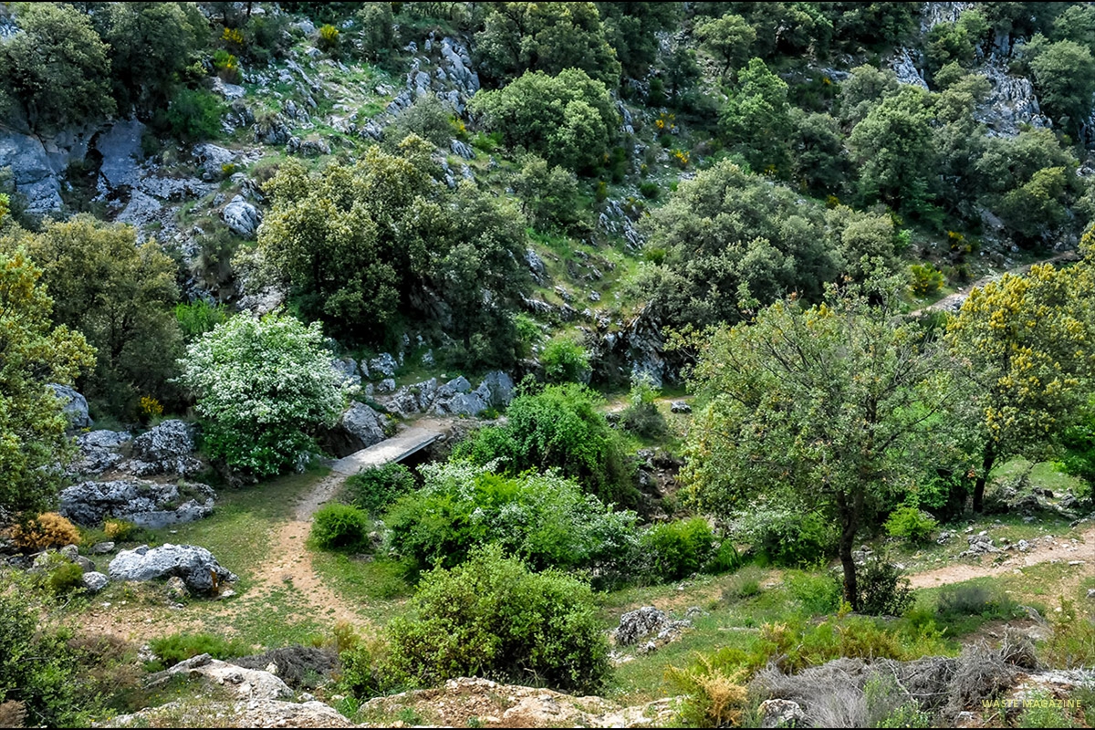 pradonegro-cascadas-11