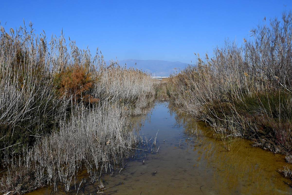 punta-entinas-fotogaleria01