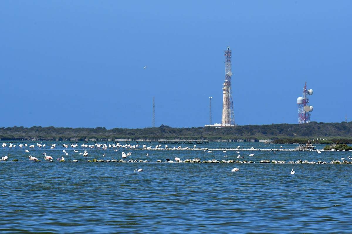 punta-entinas-fotogaleria03