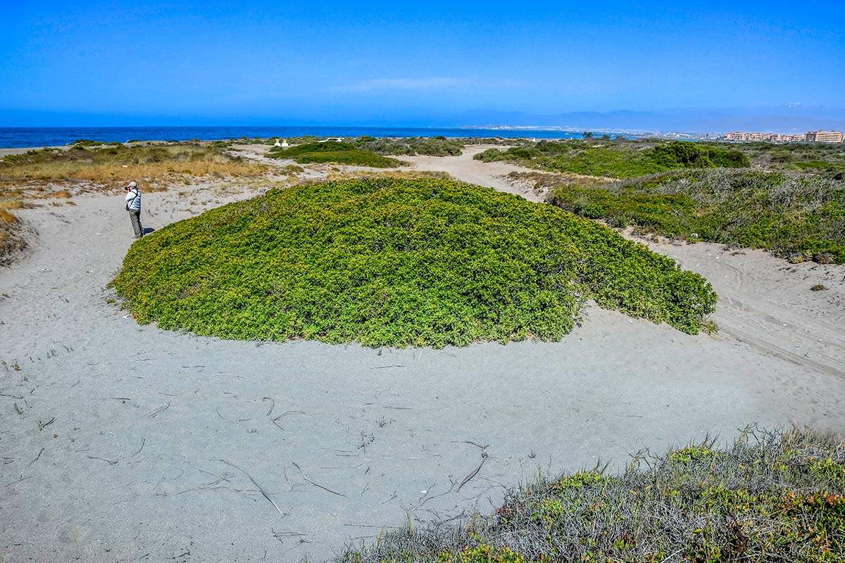 punta-entinas-fotogaleria11
