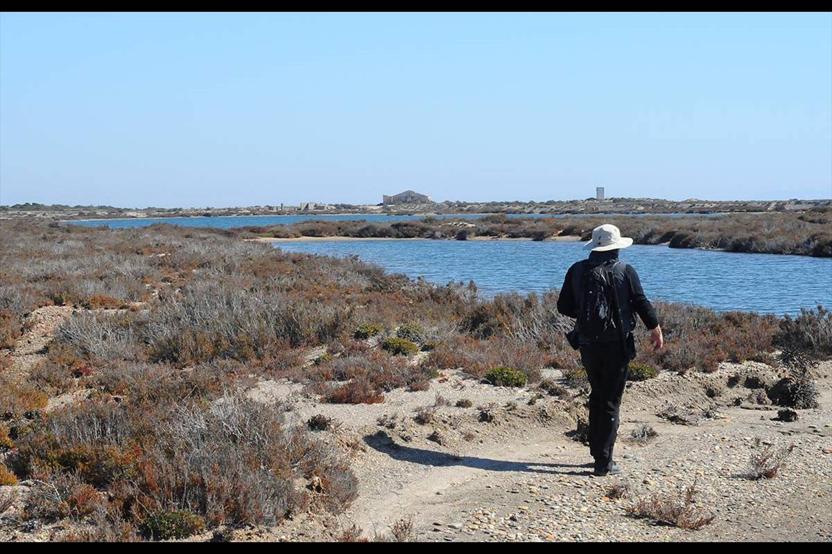punta-entinas-fotogaleria13