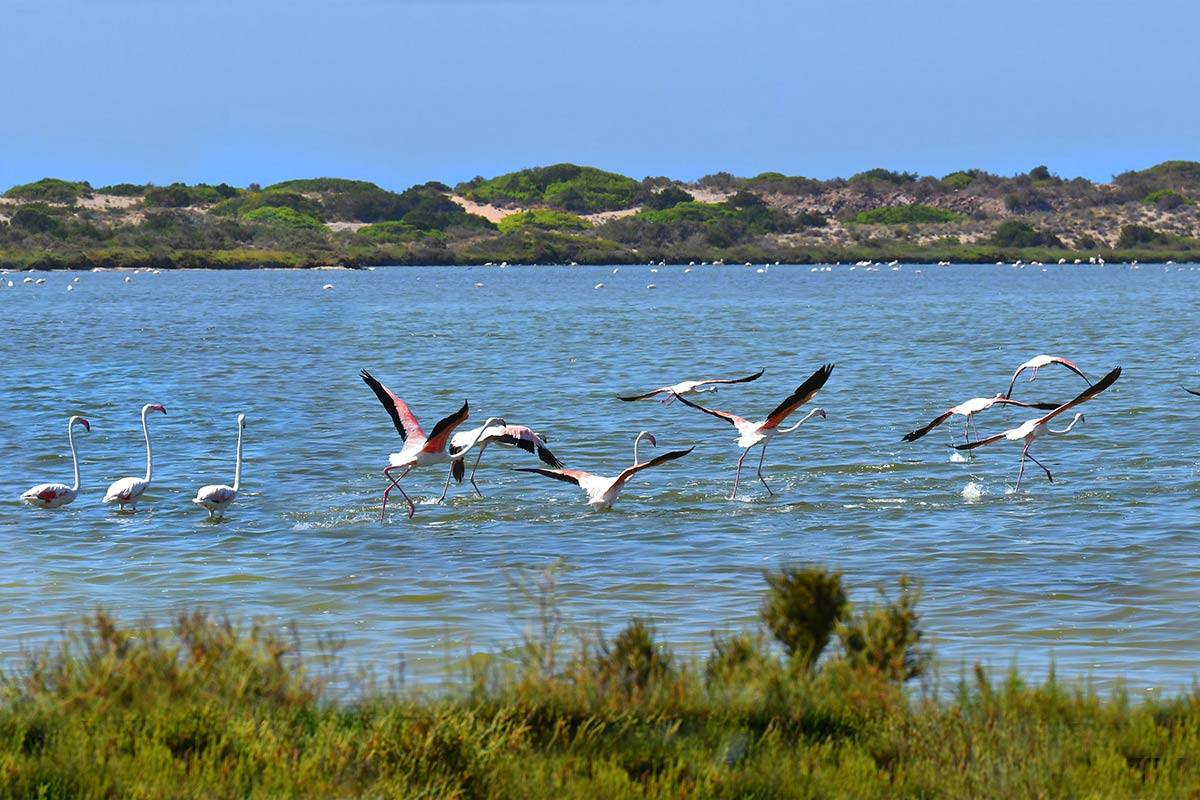 punta-entinas-fotogaleria22