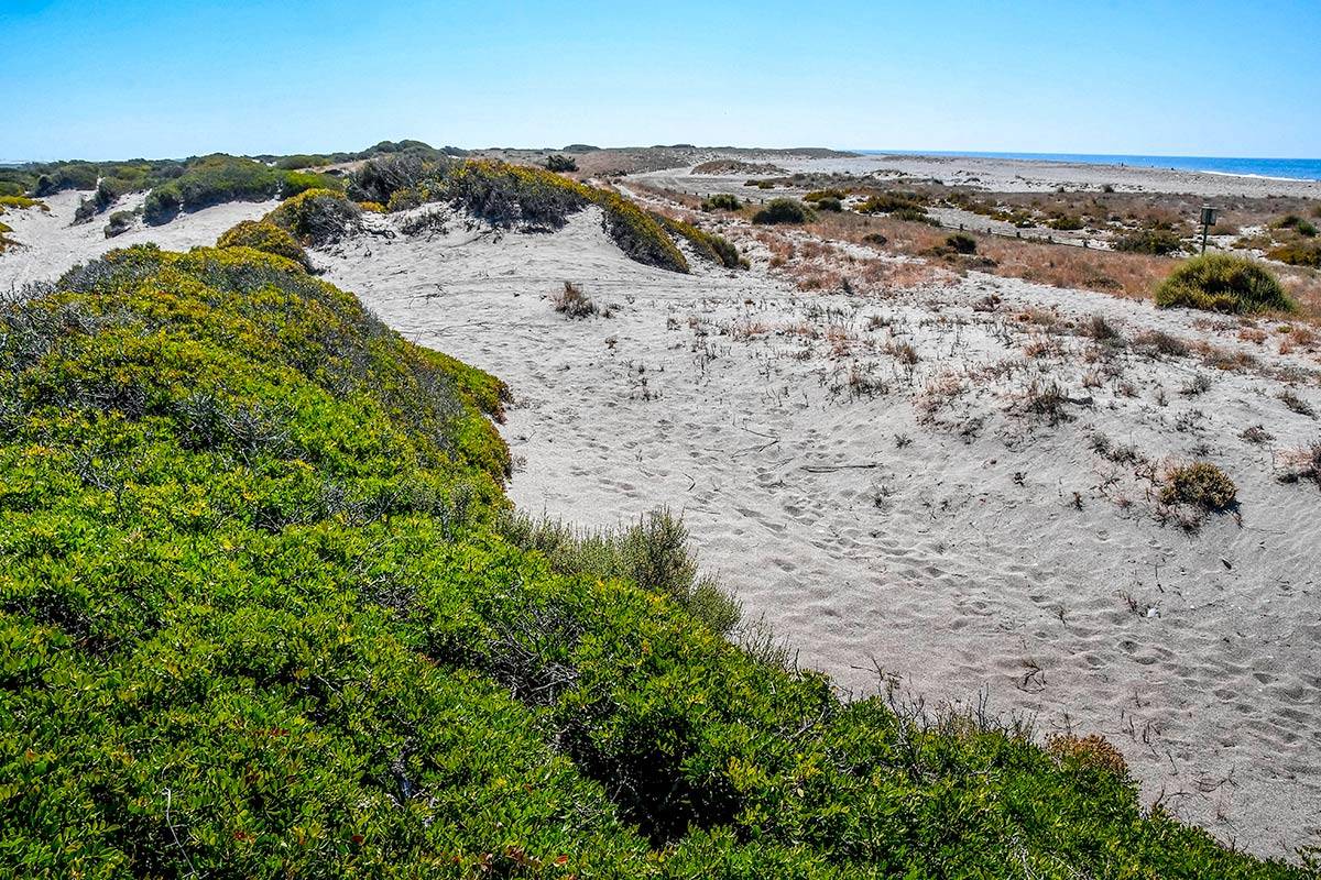 punta-entinas-fotogaleria25