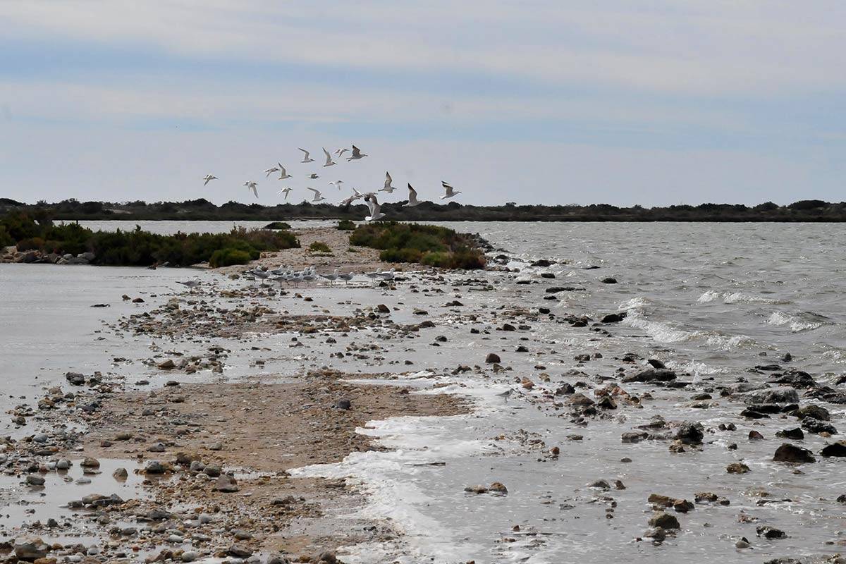 punta-entinas-fotogaleria27