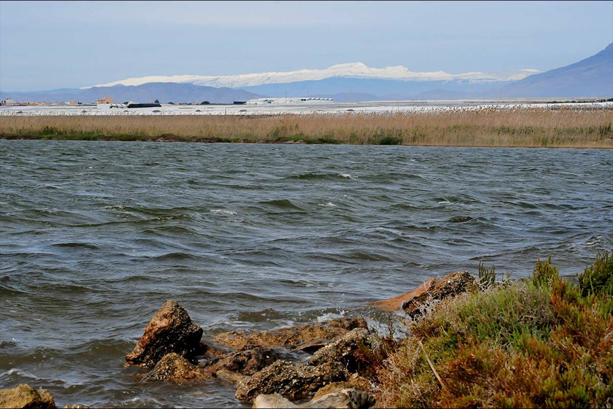 punta-entinas-fotogaleria28