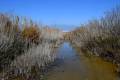 punta-entinas-fotogaleria01