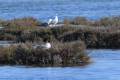 punta-entinas-fotogaleria06