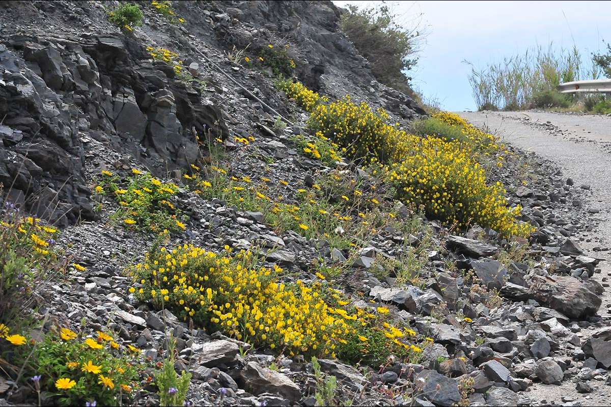 TORRE DE PUNTA NEGRA