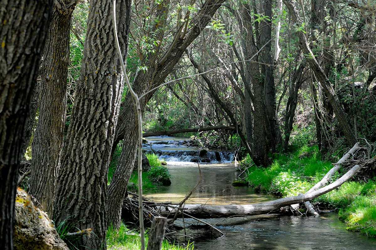 Río Aguas Blancas-fuente-trucheros
