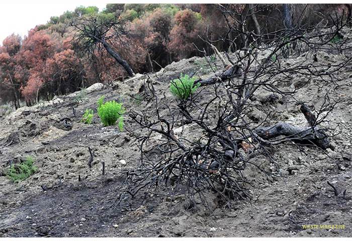 incendio-1