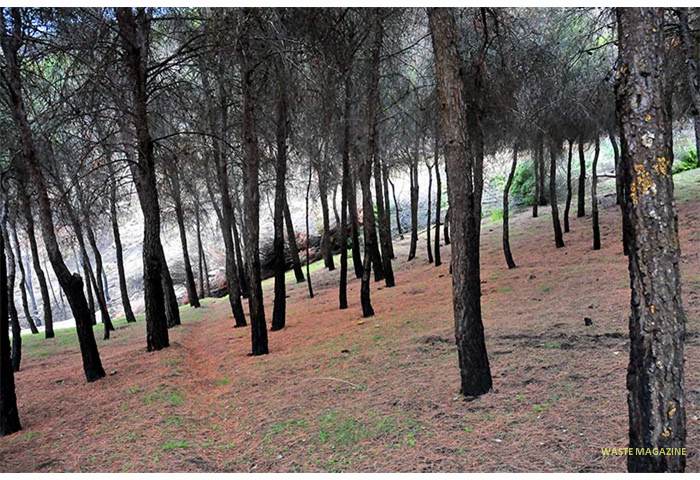 incendio-cenes4