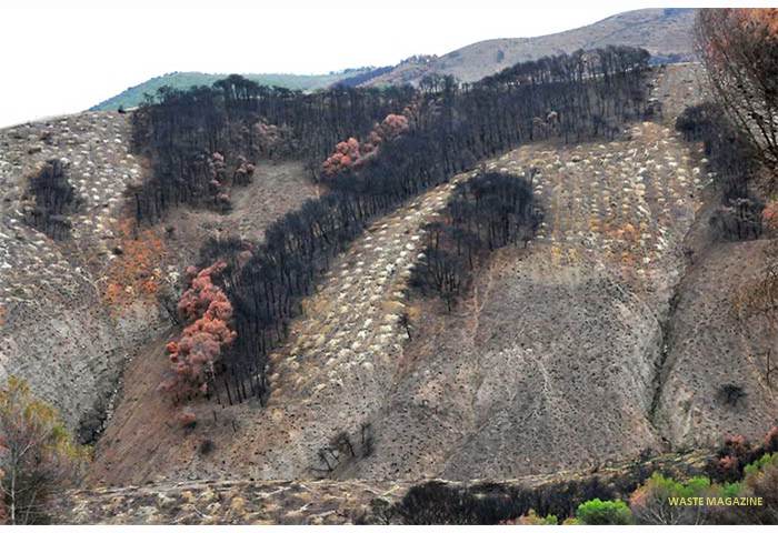 incendio-cenes6