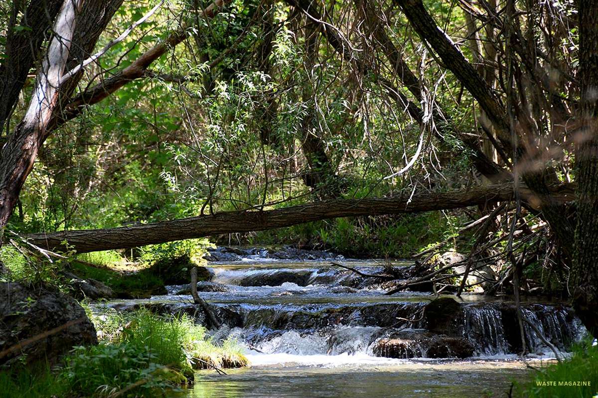 rioaguasblancas35