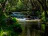 rioaguasblancas31