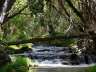 rioaguasblancas35