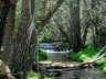 rioaguasblancas37