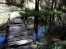 rioaguasblancas38
