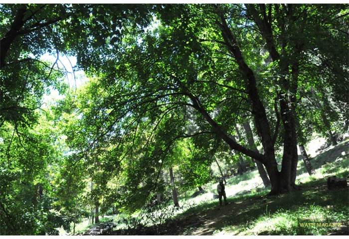 riodarro-nacimiento3