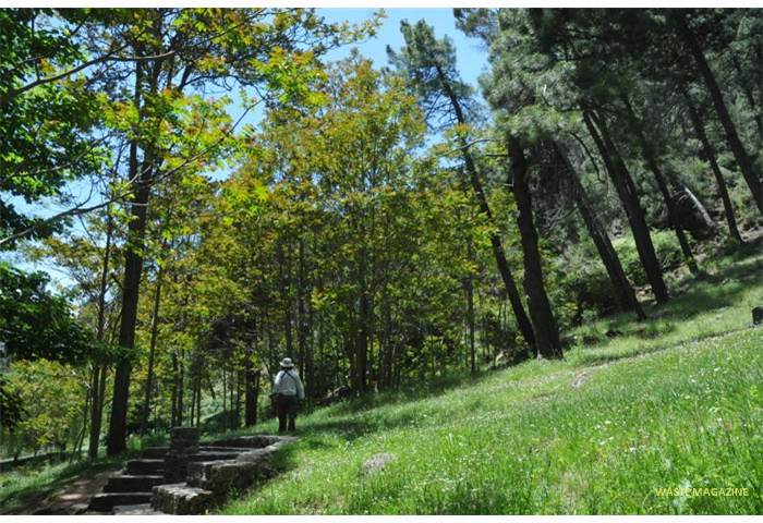 riodarro-nacimiento6