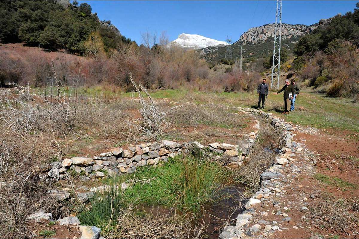 acequia-del-fardes