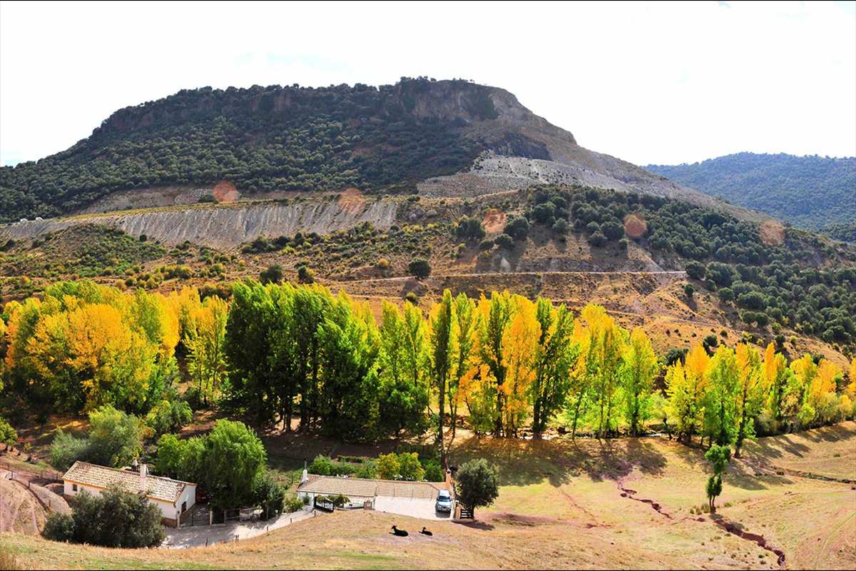 arroyo-del-fardes-otono