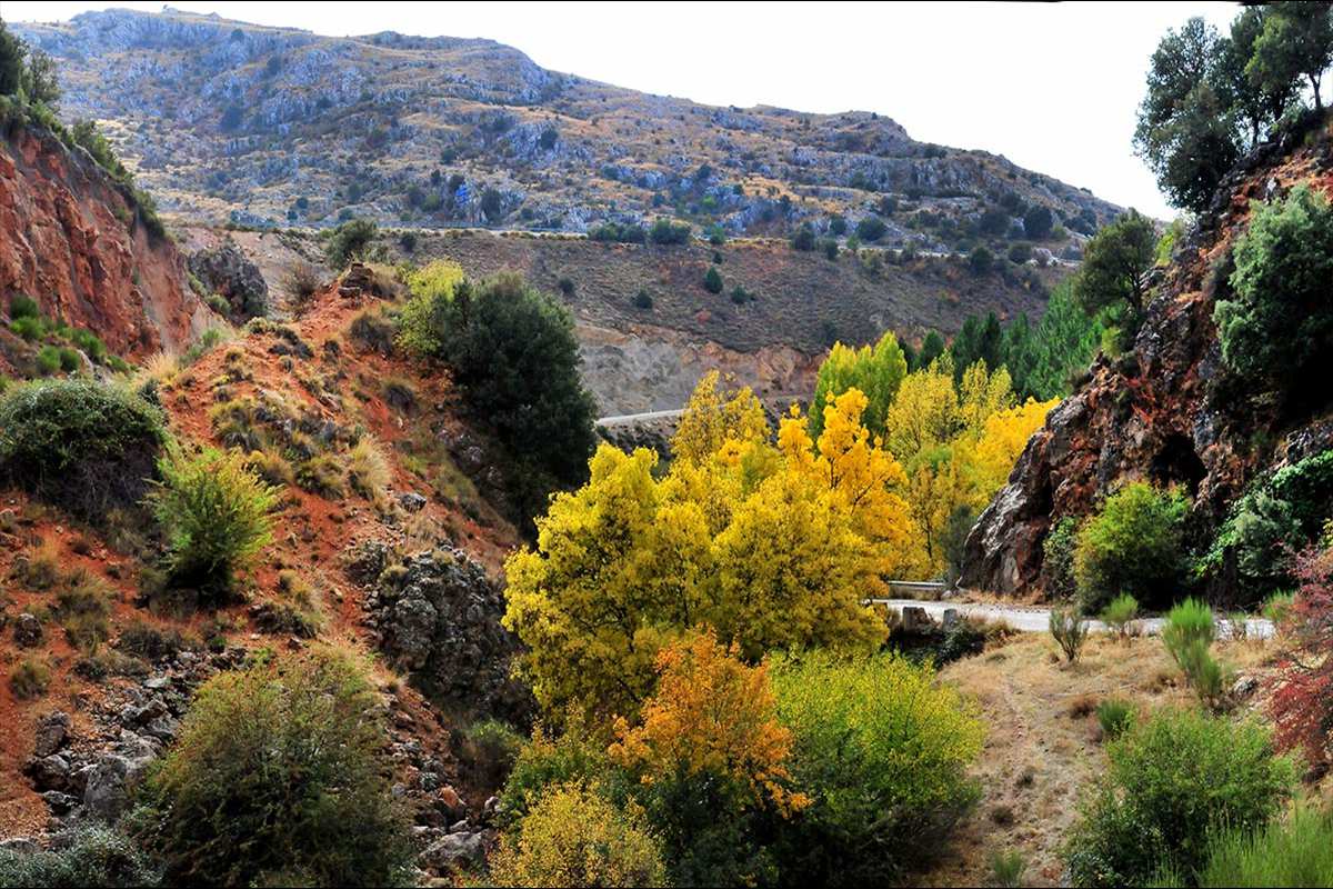 arroyo-fardes-1