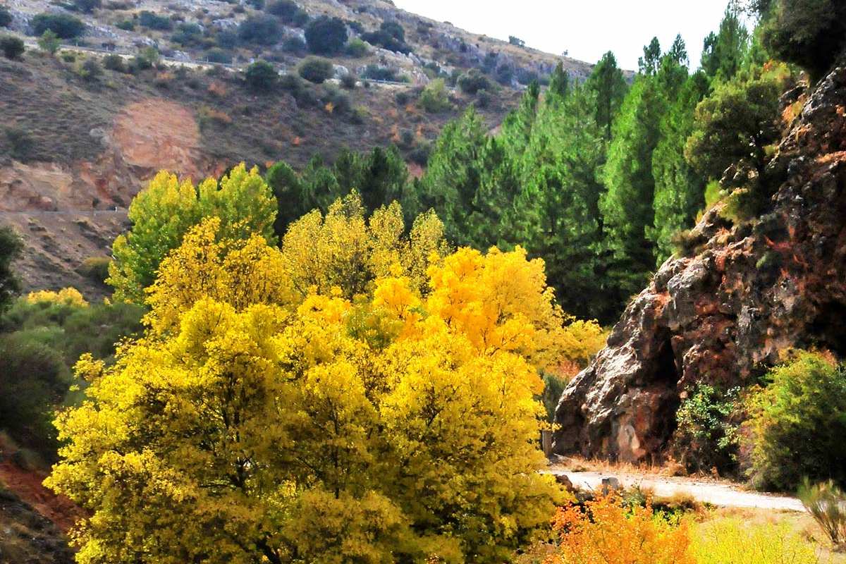 arroyo-fardes-2