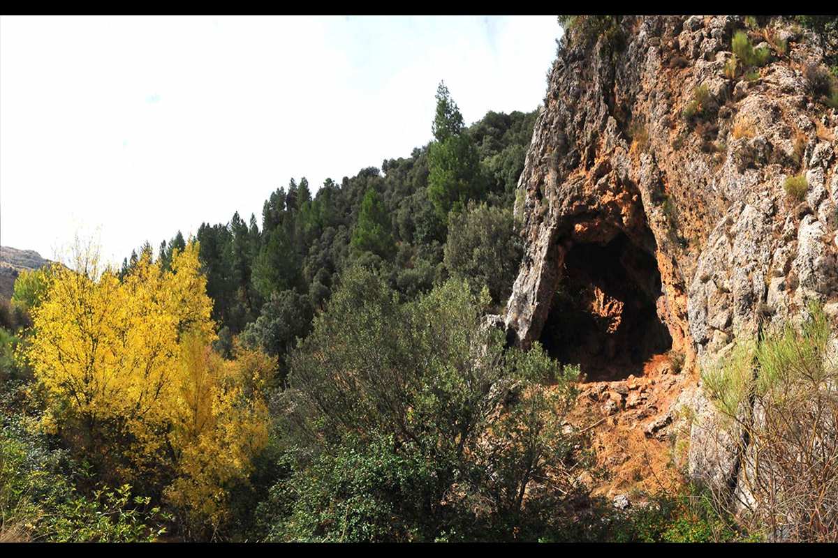 riofardes-24