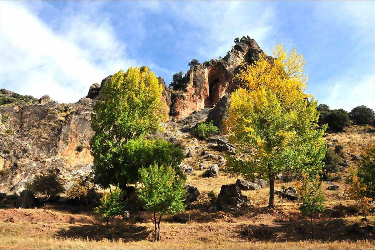 riofardes-26