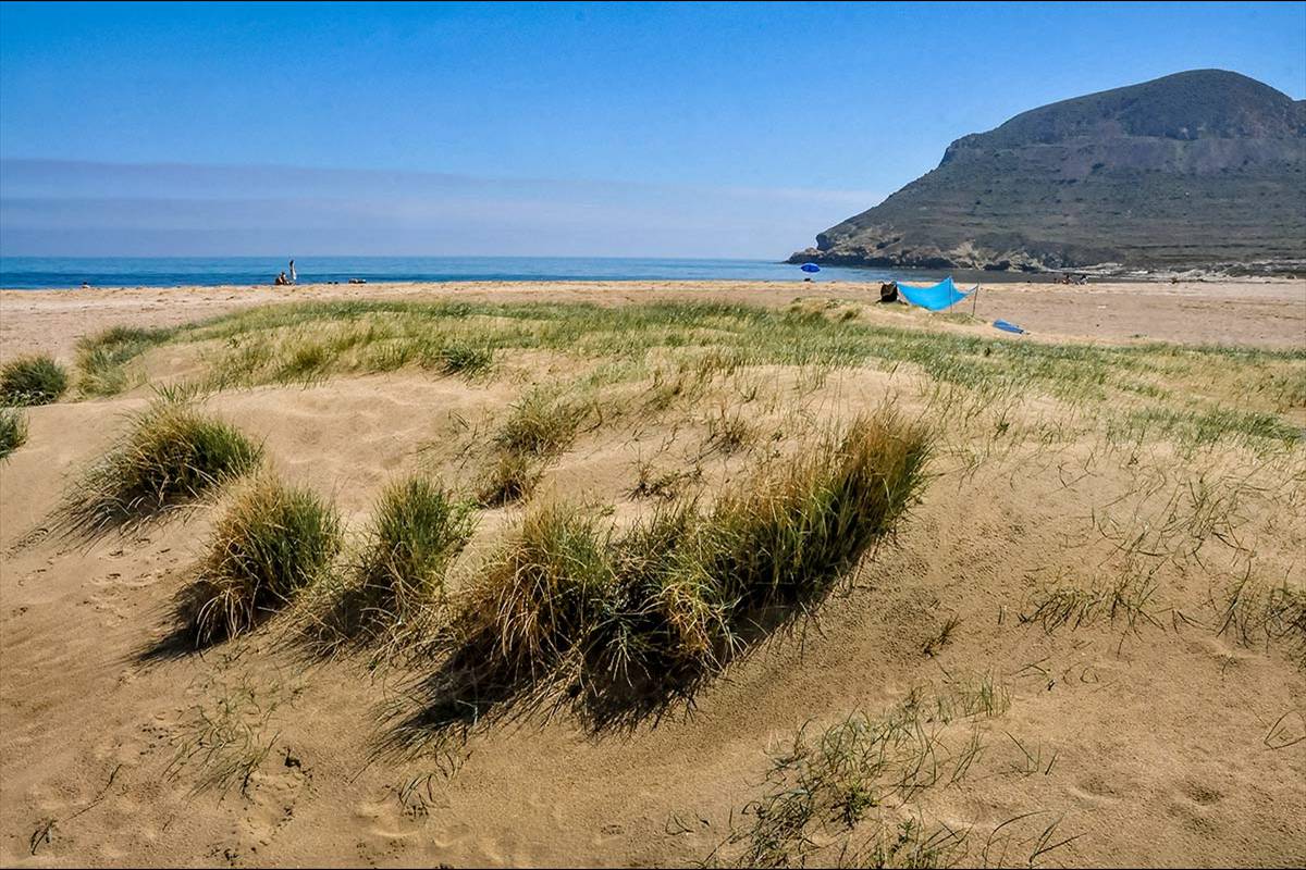 El Playazo