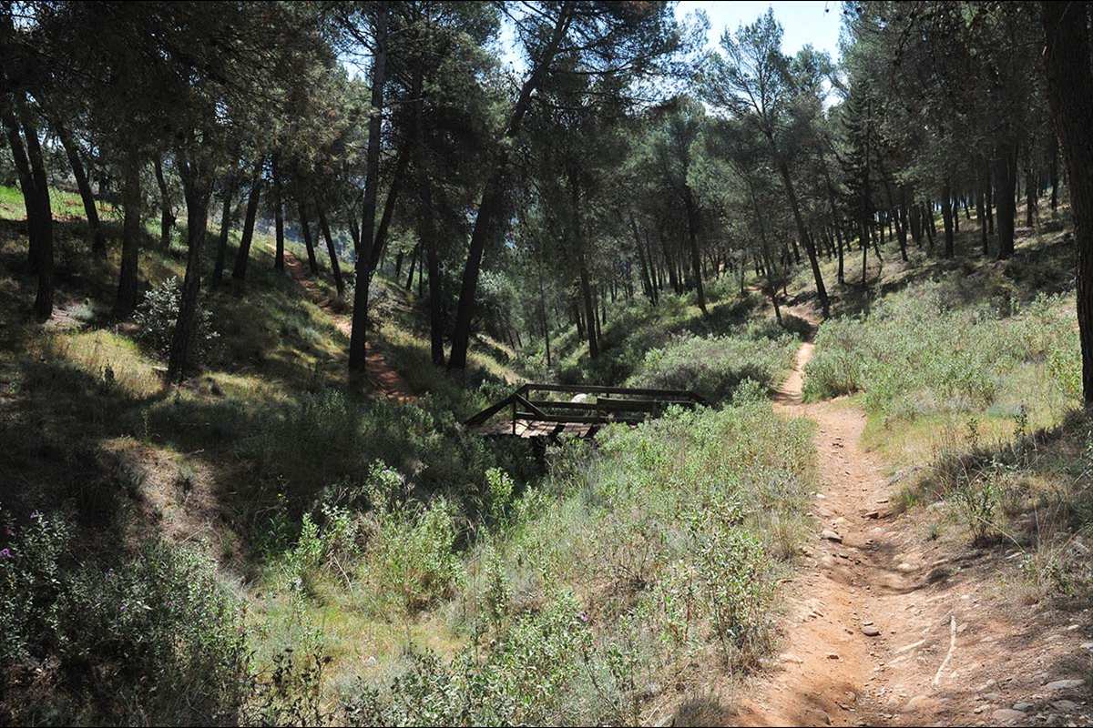Ruta del Sultán Muhammad IV 