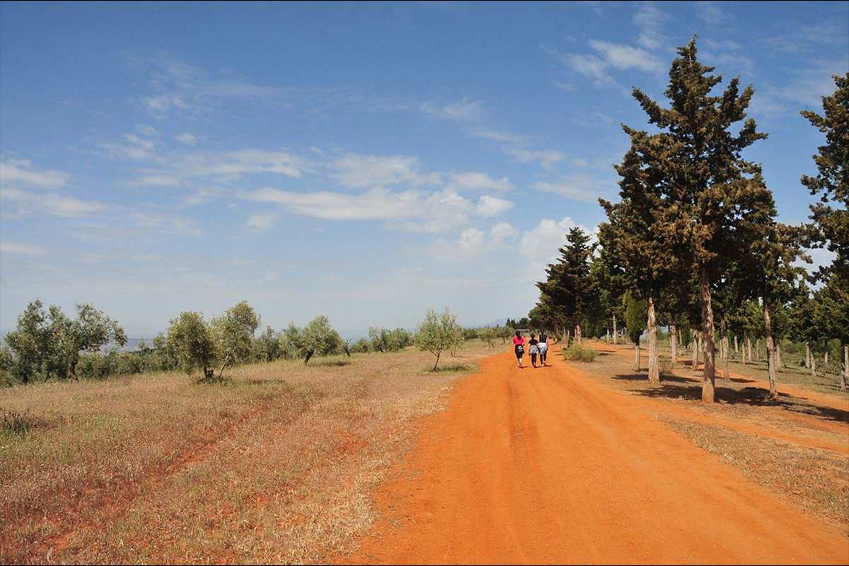 Ruta del Sultán Muhammad IV * Sendero a la Alberca Rota