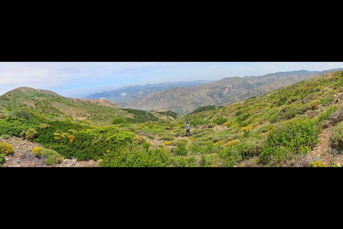 Panorámica del Sabinar