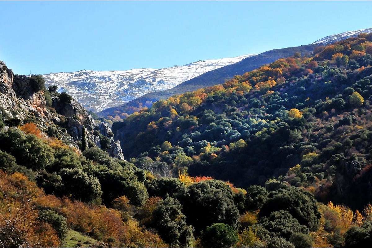 Dehesa de San Jerónimo