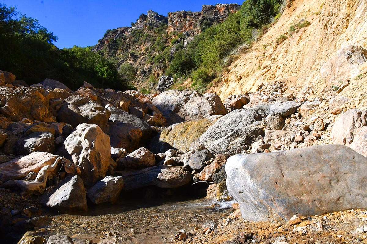 Dehesa de San Jerónimo