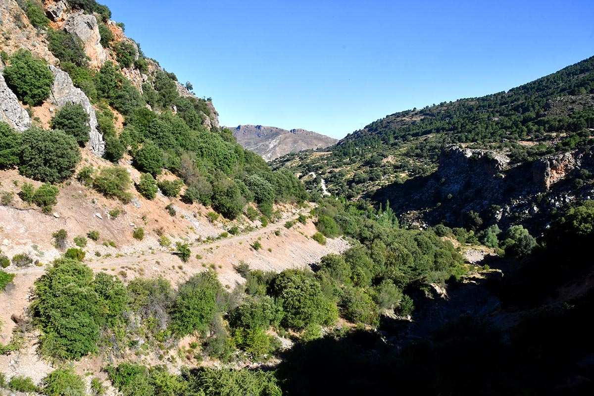 Dehesa de San Jerónimo