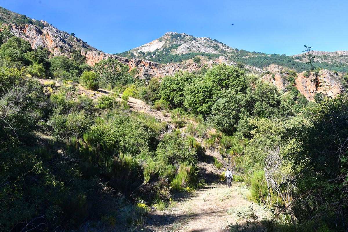 Dehesa de San Jerónimo
