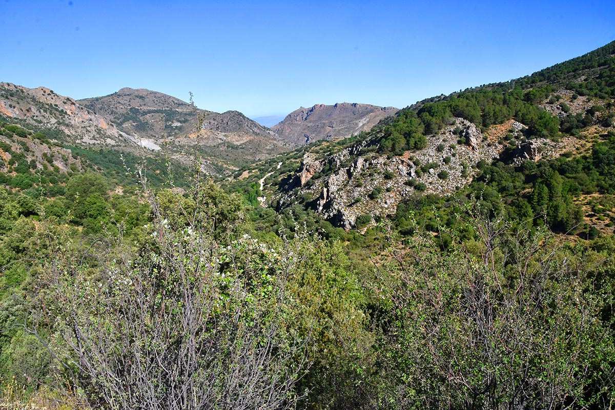 Dehesa de San Jerónimo