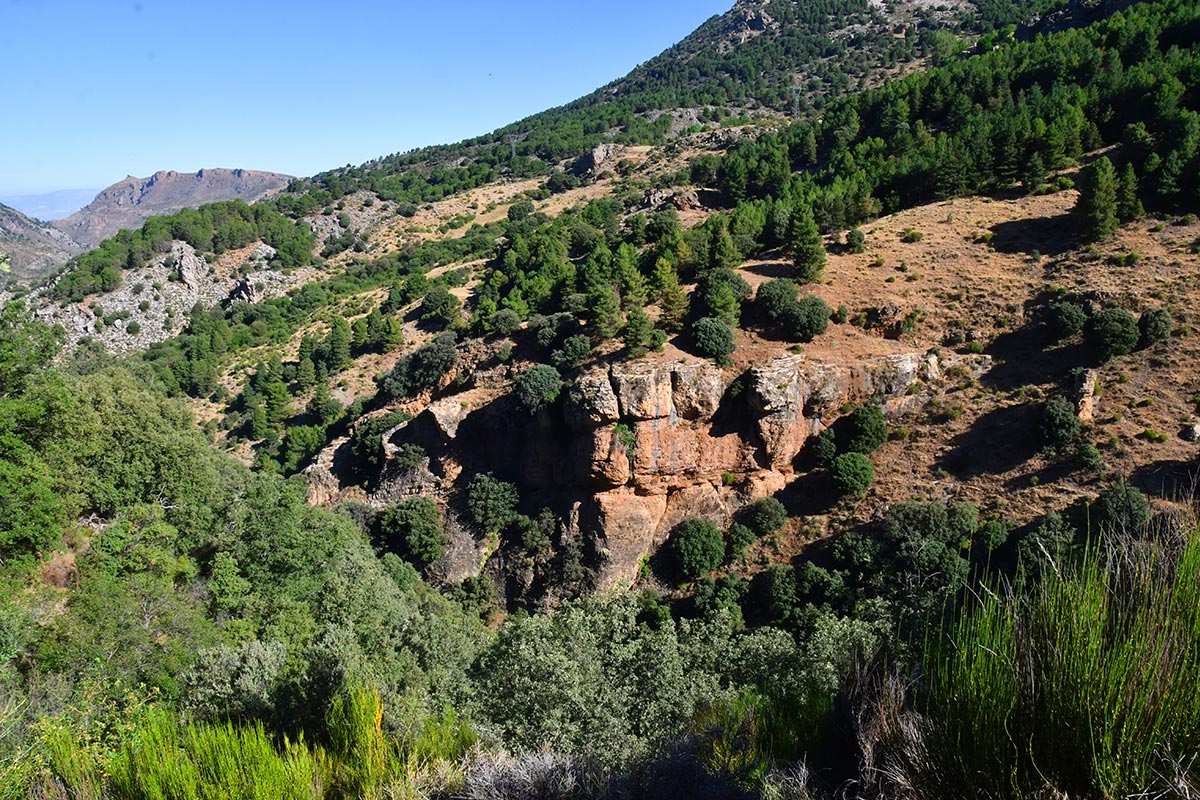 Dehesa de San Jerónimo