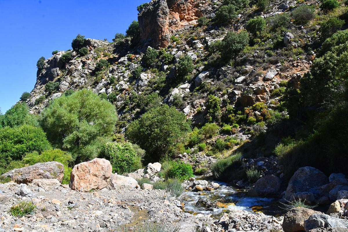 Dehesa de San Jerónimo