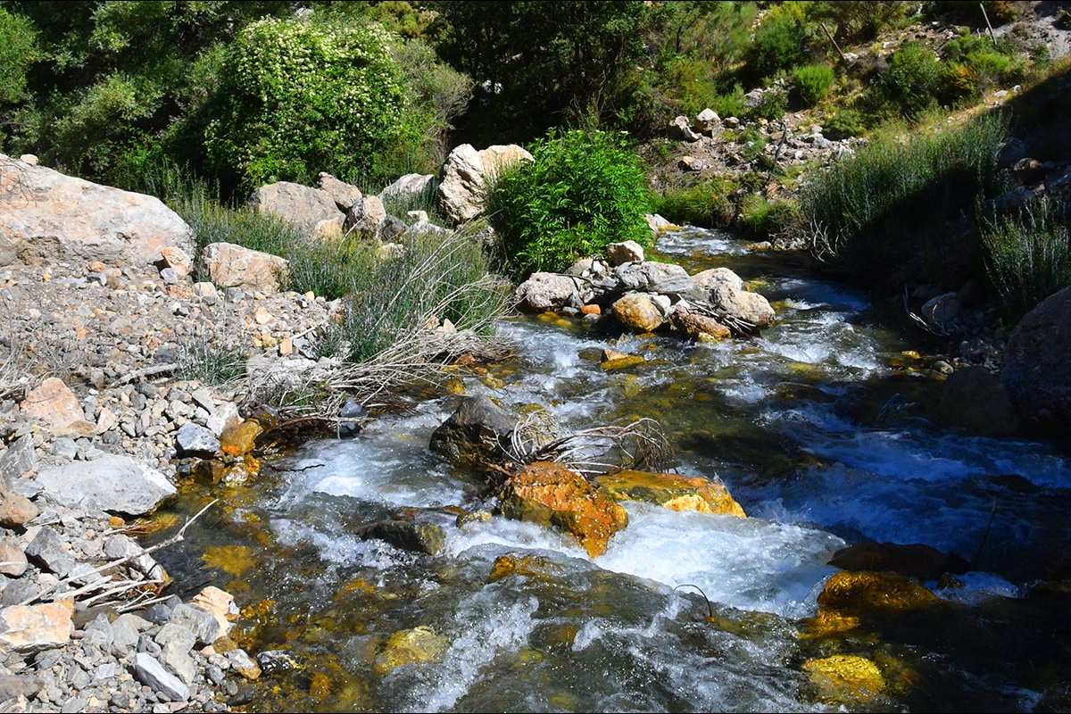 Dehesa de San Jerónimo