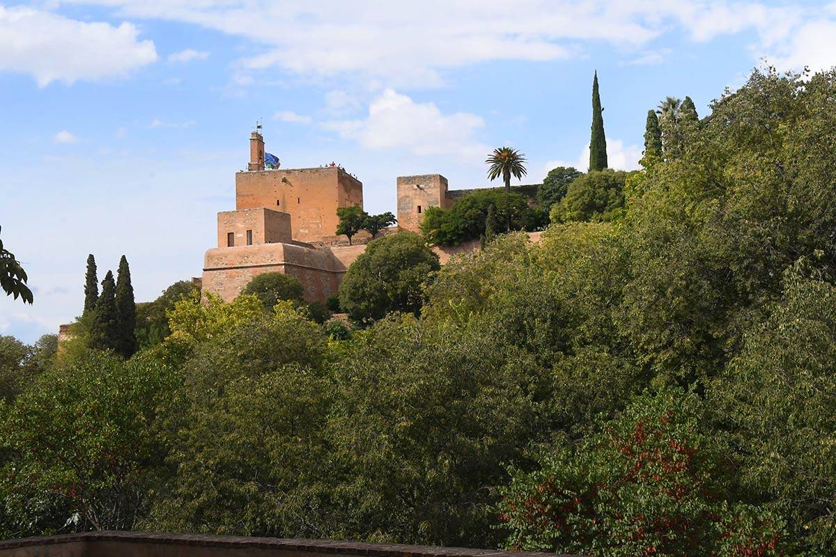 alhambra-sapo-partero-betico-02