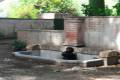 alhambra-sapo-partero-betico-07115
