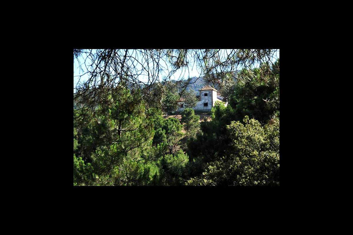 secuoyasgigantes-ruta9