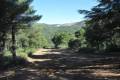 secuoyasgigantes-ruta8