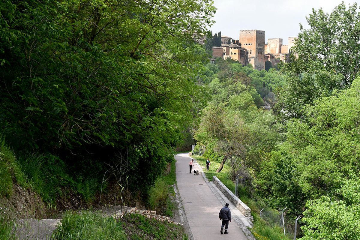 Sendero_Alarife-001