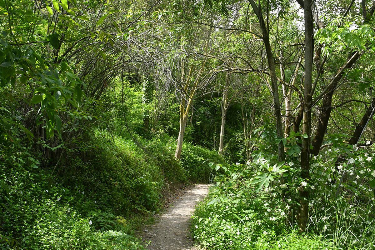 Sendero_Alarife-002